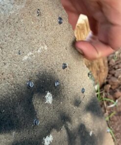 Crosman CCP8B2 Vigilante Standard Packaging Revolver 31 71 iQ9ocbZL