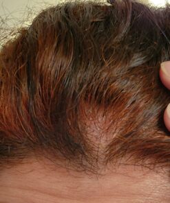 Just Jaivik 100% Organic Indigo Powder - 227 gms / 1/2 LB Pound / 08 Oz - Indigofera Tinctoria- A 100% Organic Hair Dye - Color your hair dark brown to black with Henna 25 71 iaTZbTL