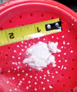 Live Milk Kefir Grains - Live Probiotic Culture 34 71 j4pc AL