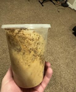 Josh's Frogs Producing Wingless Drosophila Melanogaster Fruit Fly Culture 21 71 jfYXq7IL