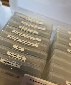 IRIS Extra Large 4" x 6" Photo and Embellishment Craft Keeper, 2 Pack, Clear 33 71 m7X046aL 1