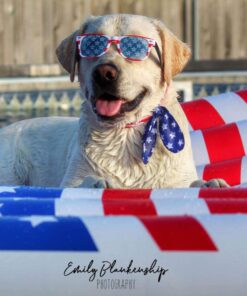 BigMouth Inc BMPF-AF Inflatable Giant Waving American Flag Pool Float 27 71 ohCtWCQL