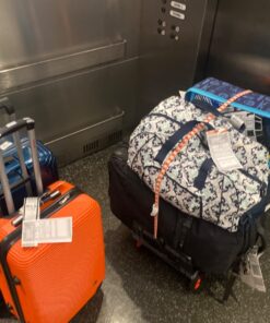 Keeper 06119 Adjustable Flat Bungee Cord, Multicolor 1 Count (Pack of 1) 31 71 pXiGYKTL