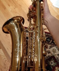 Eastar AS-Ⅱ Student Alto Saxophone E Flat Gold Lacquer Alto Beginner Sax Full Kit With Carrying Sax Case Mouthpiece Straps Reeds Stand Golden 37 71 qSMTmWgL