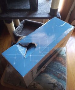 OION Technologies B-1000 Permanent Filter Ionic Air Purifier Pro Ionizer with UV-C, New (Black) 37 71 qSbaodaL