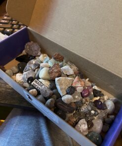 DANCING BEAR Rock, Mineral & Geodes Treasure Hunt Activity Kit (200 Pc Set) Real Shark Teeth Fossils, ID Sheet & Rock Book, STEM Rock, Mineral & Geodes Collection 44 71 rdWcNu4L