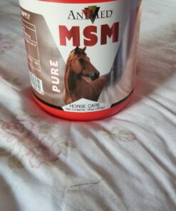 AniMed Pure MSM Supplement for Horses, 1-Pound… 1lb 9 71 v H3w3IL