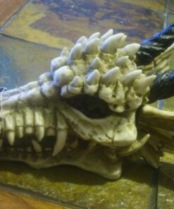 Snarling Magical Dragon Skull Treasure Trinket Box 48 71 zV4moEyL