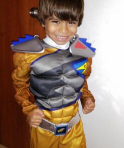 Gold Ranger Dino Charge Classic Muscle Costume for Kids Small (4-6) One Color 17 710 wClLBEL