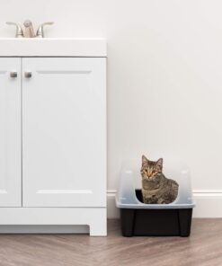 IRIS USA Open-Top Cat Litter Box with Shield and Scoop, Black Regular 28 7105QGLA6ML