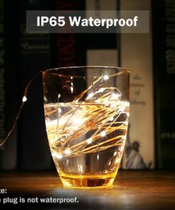 Lighting EVER Fairy Lights Plug in, 33ft 100 LED String Lights for Bedroom, Warm White Copper Wire Lights, Waterproof Indoor Outdoor Decorative Fairy Lights for Patio, Garden, Balcony, Vases, Craft 33 ft 40 710AuxljBnL