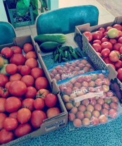 Certified Organic Vegetable Seeds for Planting Outdoors - 13 Seed Variety Pack of Veggie Heirloom Seeds Non GMO Organic Non Hybrid Open Pollinated for Home Garden - Tomato, Broccoli, Carrots, Fruit 40 710BSJLtNwL