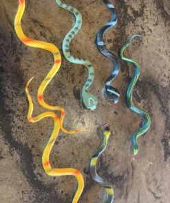 Rhode Island Novelty 14" Rain Forest Snakes | Assorted Designs | Set of 12 20 710CqWkbp9L