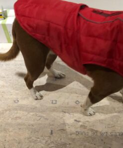 Kurgo Loft Dog Jacket, Reversible Dog Coat, Wear with Harness or Sweater, Water Resistant, Reflective, Winter Coat For Medium Dogs (Chili Red, M) Chili Red/Charcoal 54 710D3VVnD7L