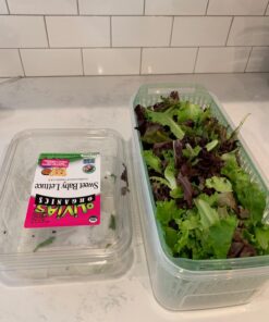 OXO Good Grips GreenSaver Produce Keeper - Large,White 58 710DoQFSsL