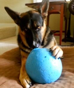 Jolly Pets Bounce-n-Play Dog Toy Ball, 8 Inches/Large, Blueberry, (Model: 2508 BB) Large (8 in) 42 710HmMp9KjL