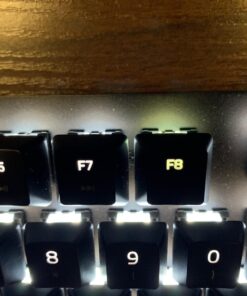 Razer BlackWidow Lite TKL Tenkeyless Mechanical Keyboard : Orange Key Switches - Tactile & Silent - White Individual Key Lighting - Compact Design - Detachable Cable - Classic Black Orange Switches - Tactile & Silent 53 710MNsO1fyL