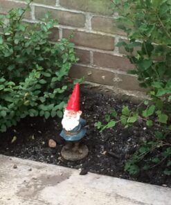 Garden Gnomes Outdoor and Indoor Statue 10'' Weather-Resistant Lawn Gnome With Red Hat and Adorable beard, Adds Whimsical Charm to Your Garden Gnomes Decorations for Yard. 10 in 32 710Mg 1otL