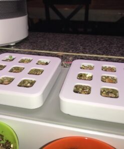 Certified Organic Vegetable Seeds for Planting Outdoors - 13 Seed Variety Pack of Veggie Heirloom Seeds Non GMO Organic Non Hybrid Open Pollinated for Home Garden - Tomato, Broccoli, Carrots, Fruit 50 710OPmzdqFL