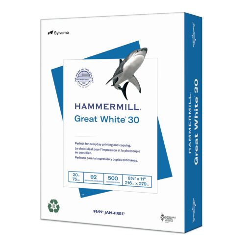 Hammermill Printer Paper, Great White 30% Recycled Paper, 8.5 x 11 - 1 Ream (500 Sheets) - 92 Bright, Made in the USA, 086710 1 Ream | 500 Sheets Letter (8.5x11)