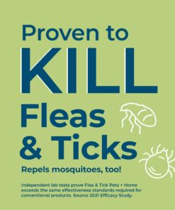 Wondercide - Flea, Tick & Mosquito Spray for Dogs, Cats, and Home - Control, Prevention, Treatment - with Natural Essential Oils - Pet and Family Safe - Peppermint 16 oz 18 710QV2CxfPL 1