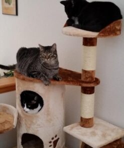 Purina Fancy Feast Tender Chicken and Liver Feast Classic Grain Free Wet Cat Food Pate - (24) 3 oz. Cans Liver & Chicken 3 Ounce (Pack of 24) 30 710Qhtz8lRL 4