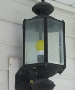 TCP 5W Equivalent LED Yellow Bug Light Bulbs, Non-Dimmable 1 Count (Pack of 1) 24 710RMCqwymL