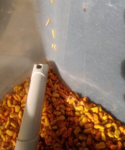 Meow Mix Tender Centers Dry Cat Food, Salmon & Chicken, 13.5 Pound Bag 13.5 Pound (Pack of 1) 34 710TO8jITHL