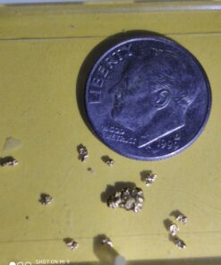 Nugget Reserve Gold Paydirt Clunker Panning Pay Dirt Bag – Gold Prospecting Concentrate 43 710URSyz2dL