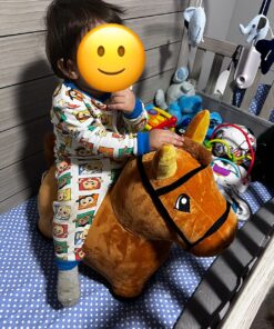 iPlay, iLearn Bouncy Pals Brown Hopping Horse, Toddler Plush Animal Hopper Toy, Kids Inflatable Ride on Bouncer W/Pump, Indoor Outdoor Jumper, Birthday Gifts for 18 24 Months 2 3 Year Old Boys Girls Brown Hopper Horse 48 710WI2RksRL