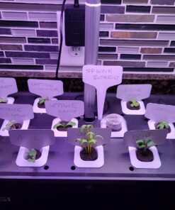 Indoor Garden Hydroponics Growing System, DUESI Upgrade 12 Pods Plant Germination Herb Kit with LED Grow Light, Hydrophonic Planter Grower Harvest Vegetable Lettuce for Hydroponic Gardeners (12 Pods) 56 710bfPu9dEL