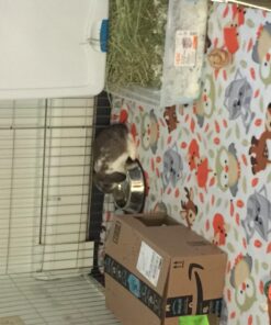 MidWest Homes for Pets Foldable Metal Dog Exercise Pen / Pet Playpen, Gold zinc w/ door, 24'W x 30'H, 1-Year Manufacturer's Warranty 30" H 38 710dQs7ZmaL