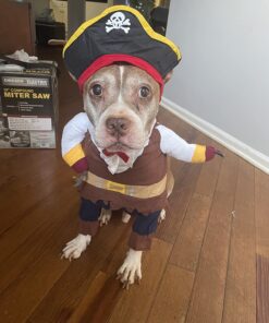 NACOCO Pet Dog Costume Pirates of The Caribbean Style (Large) L Brown 35 710dibGT6YL