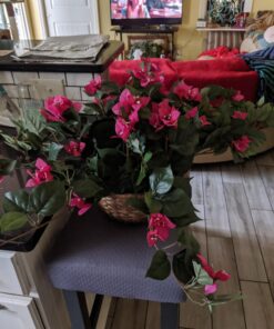 Nearly Natural Bougainvillea Basket Silk 1 Artificial Hanging Plant, 32 x 32 x 24, Green, Pink 45 710hjdzf1fL