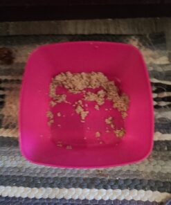 Purina Friskies Pate - (24) 5.5 oz. Cans 5.50 Ounce (Pack of 24) Chicken & Tuna Dinner 26 710iYHFdRLL