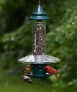 Weather Guard for Squirrel Buster Plus Bird Feeder (FEEDER NOT INCLUDED) 13" Diameter 24 710jnsS3pVL