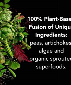 PlantFusion Complete Vegan Protein Powder - Plant Based Protein Powder With BCAAs, Digestive Enzymes and Pea Protein - Keto, Gluten Free, Soy Free, Non-Dairy, No Sugar, Non-GMO - Vanilla Bean 2 lb 30 Servings (Pack of 1) 30 710kx6QsX9L