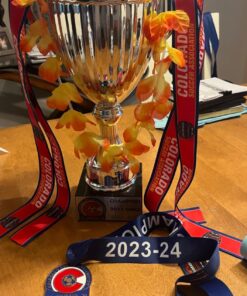 Joyin Toy 36 Counts Hawaiian Leis Bulk, Tropical Flower Lei Hawaiian Lei Beach Hawaii Luau Party Favors Decoration Birthday Party Supplies(3 Dozen) 31 710lee67MZL