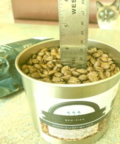 Planetary Design Airscape Stainless Steel Coffee Canister | Food Storage Container | Patented Airtight Lid | Push Out Excess Air Preserve Food Freshness (Medium, Brushed Steel) Medium 37 710lp0aj9L