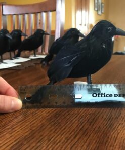 PREXTEX 6pcs Black-Feathered Small Crows Halloween Decorations | Outdoor&Indoor Decor | Fake Bird, Halloween Birds, Scary Ravens, Decorative Crows, Raven | Home, Fence, Porch, Tree, Party Decoration 32 710rK9hXZuL