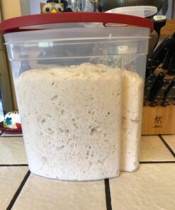 The New Artisan Bread in Five Minutes a Day: The Discovery That Revolutionizes Home Baking 70 710rdkjigbL