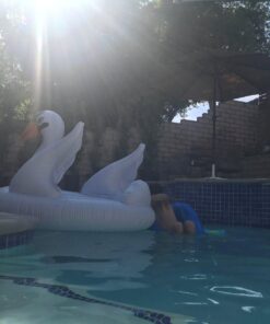 Intex Mega Swan, Inflatable Island, 76.5" X 60" X 58" Mega Float Ride-On 26 710v Ijc9XL