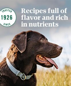 NUTRO NATURAL CHOICE Adult Dry Dog Food, Chicken & Brown Rice Recipe Dog Kibble, 30 lb. Bag 30 Pound (Pack of 1) 31 710wOtgJPL