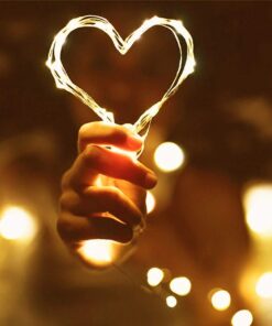 ER CHEN 165ft Led String Lights, 500 Led Fairy Starry Lights on 50M Silvery Copper Wire String Lights for Christmas (Warm White) Warm White 25 710x52gM1KL