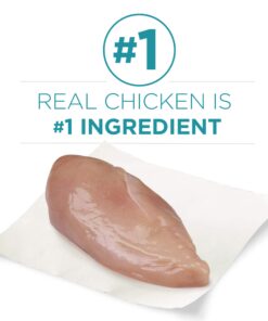 Purina ONE Natural Dry Cat Food, Tender Selects Blend With Real Chicken - 7 lb. Bag 29 710xh4MjlXL