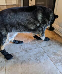 Hipaw Summer Breathable Dog Boots Nonslip Sole Paw Protector for Hardwood Floor XL: Insole Wide 2.83" Blue 23 7116ntSZ4pL