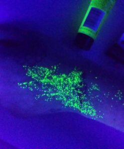 Moon Glow - Blacklight UV Glitter Face & Body Gel - 0.42oz Set of 6 - Blacklight Face Paint - glows brightly under Blacklight 31 7119Y89RBbL