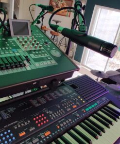 PYLE-PRO Professional Handheld Moving Coil Microphone - Dynamic Cardioid Unidirectional Vocal, Built-in Acoustic Pop Filter, Includes 15ft XLR Audio Cable to 1/4'' Audio Connection - Pyle PDMIC78,Black Mic 37 711AFEolxeL