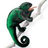 Folkmanis Chameleon Hand Puppet, Dark Green 16 711BPYg5pL
