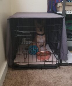 Paws & Pals Dog Crate, 24" Pet Cage, Wire Metal Kennel, with Tray, Foldable & Portable, Durable Steel Wire, Easy Setup, Ideal for Puppies & Kittens, Black 24.0"L x 16.0"W x 20.0"H 38 711FBreW30L